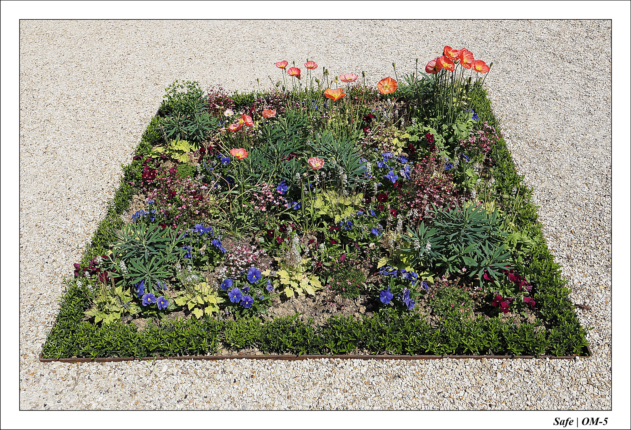 2024 - 05 - Bagatelle - 11